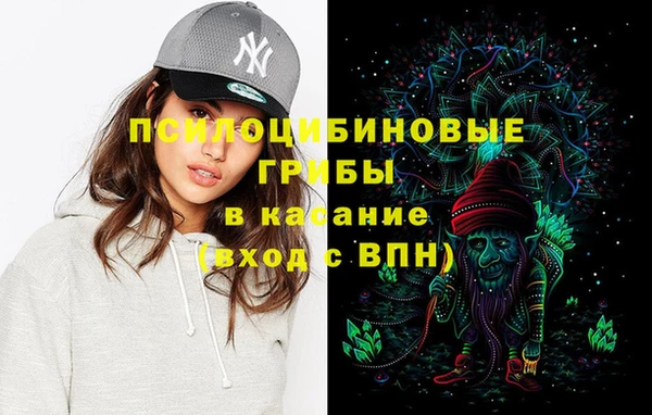 молекула духа Зеленокумск