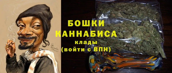 молекула духа Зеленокумск